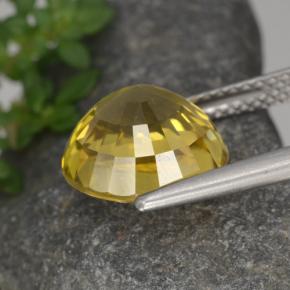 Zircão amarelo natural 6,97ct, corte redondo, VVS