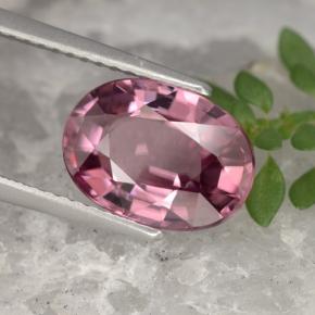 Zircão rosa natural 4,18ct, corte oval, VVS