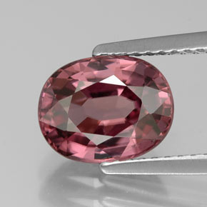 Zircão rosa natural 3,29ct, corte oval, IF