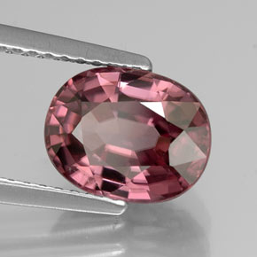 Zircão rosa natural 3,29ct, corte oval, IF