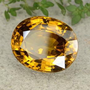 Zircão amarelo natural 47,35ct, corte oval, VVS