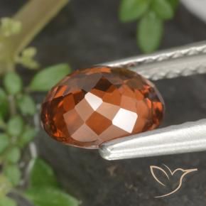 Zircão Laranja Profundo Natural 1.49ct, oval, VS